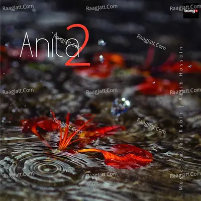 Anita, Vol. 2 - Anita