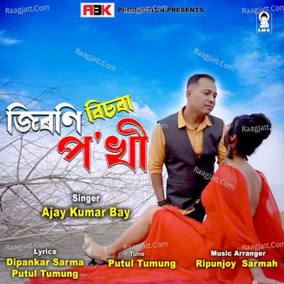 Jironi Bisora Pokhi Cover