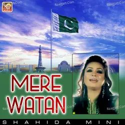 Mere Watan - Single