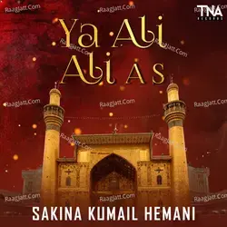 Ya Ali Ali A S - Single