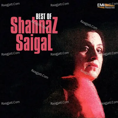 Best of Shahnaz Saigal - Shahnaz Saigal
