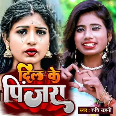 Dil Ke Pinjara (Maithili Sad Song)