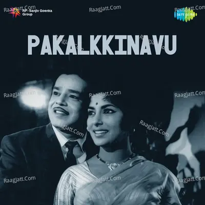 Pakalkkinavu Cover