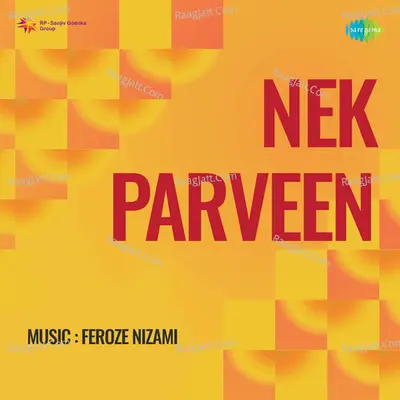 Nek Parveen Poster
