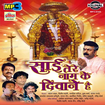 Sai Tere Naam Ke Diwane Hai Poster