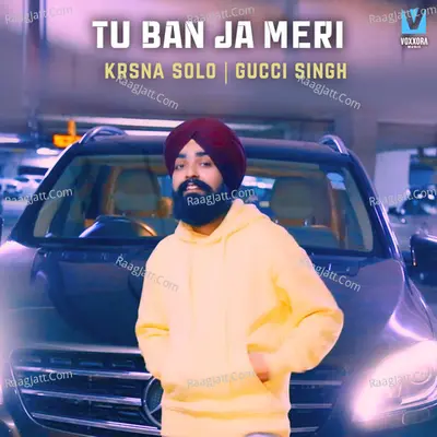 Tu Ban Ja Meri Cover