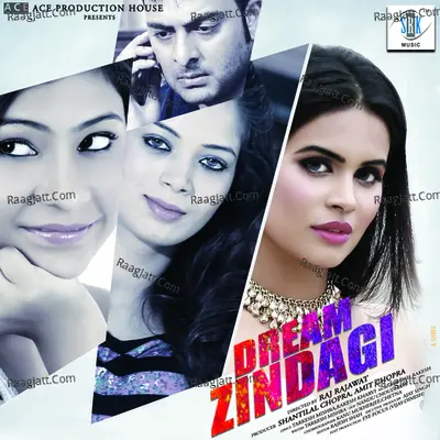 Dream Zindagi Poster
