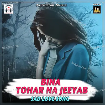 Bina Tohar Na Jeeyab-Sad Love Song Poster