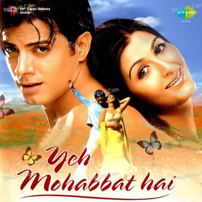Yeh Mohabbat Hai - Anand Raj Anand