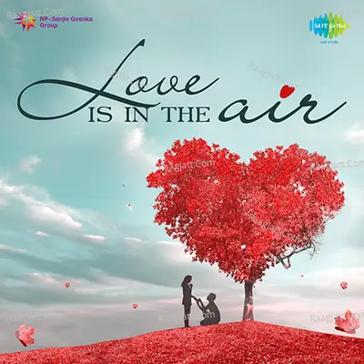 Love Is in the Air Poster