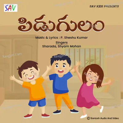Pidugulam Cover