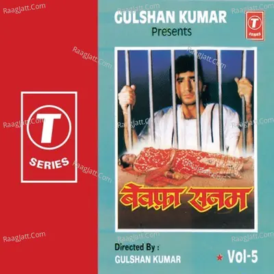 Bewafa Sanam - Anuradha Paudwal