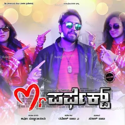 Mr. Perfect Poster