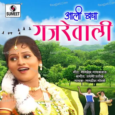 Aali Bagha Gajrewali Poster