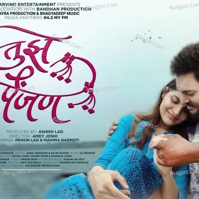 Tujhe Painjan