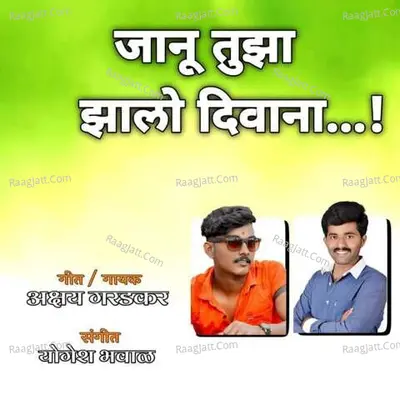 Janu Tuza Zalo Deewana Cover