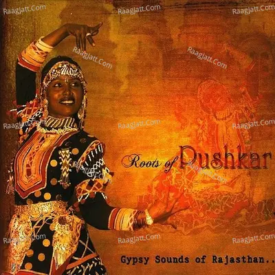 Gypsy Sounds Of Rajasthan - Babbu Nath