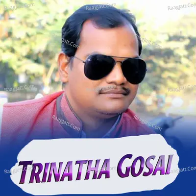 Trinatha Gosai Cover