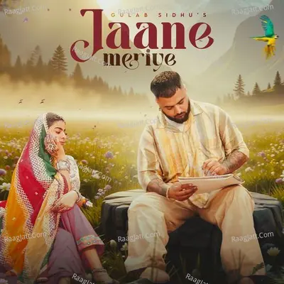 Jaane Meriye Cover