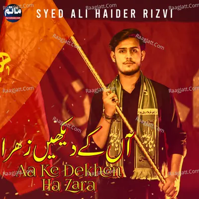 Aa Ke Dekhen Ha Zara - Syed Ali Haider Rizvi