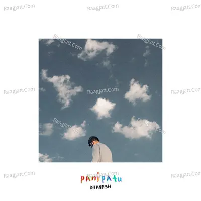 Pani Patu Cover