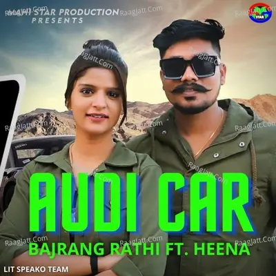 Audi Car Cover