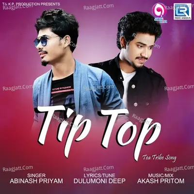 Tip Top Cover