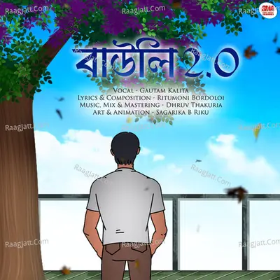 Bauli2.0 Cover