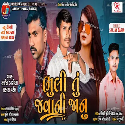 Bhuli Tu Javani Jaanu Poster