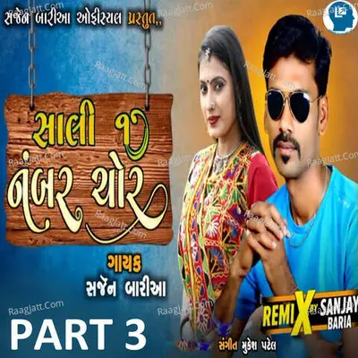 Sali 1 Nambar Chor Part 3 Cover