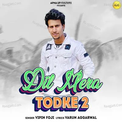 Dil Mera Todke 2 Cover