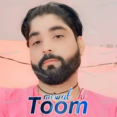 Mewat Ki Toom Cover