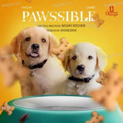 Pawssible Cover