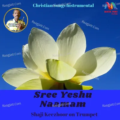 Sree Yeshu Naamam - Single
