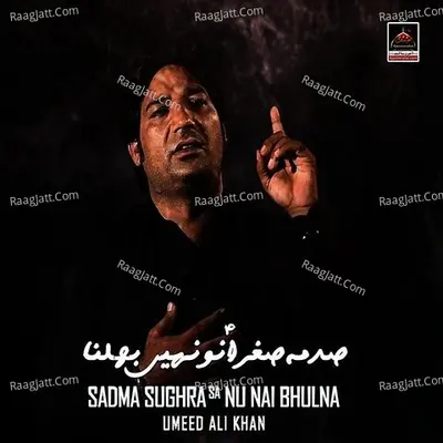Sadma Sughra Sa Nu Nai Bhulna - Umeed Ali Khan