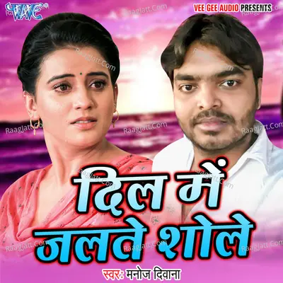 Dil Me Jalte Shole Poster