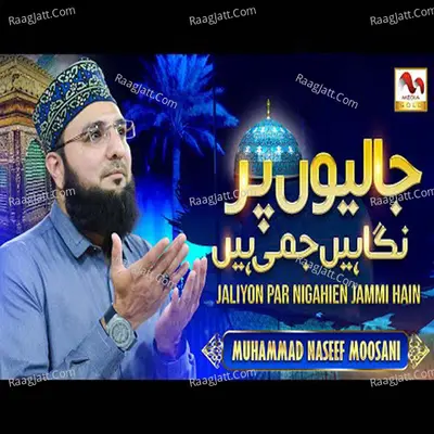 Jaliyon Par Nigahien Jammi Hain Poster