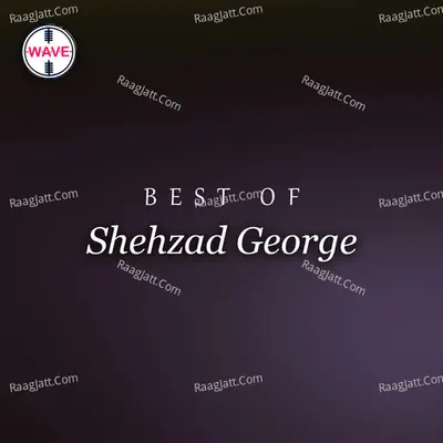 Best Of Shehzad George Poster
