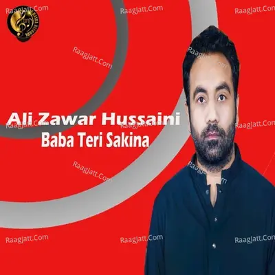 Baba Teri Sakina ( Album No ,7 ) Poster