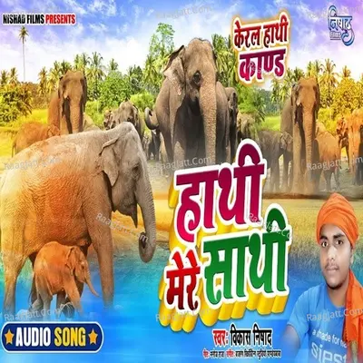 Hathi Mere Sathi
