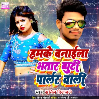 Hamke Banaila Bhatar Beauty Parlor Wali Cover