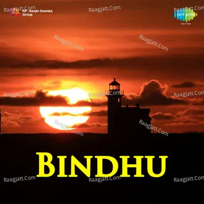 Bindhu Poster