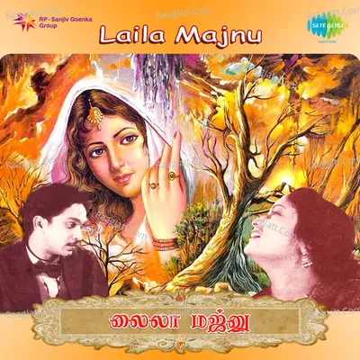 Laila Majunu Poster