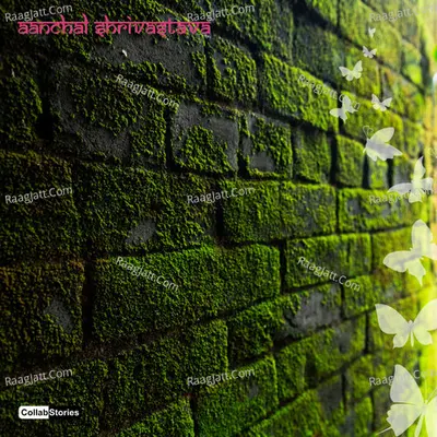 Titliyan Cover