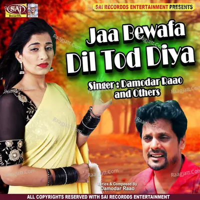 Ja Bewafa Dil Tod Diya Poster