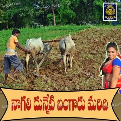 Nagali Dunneti Bangaru Maridhi