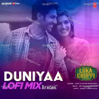 Duniyaa Lofi Mix Cover