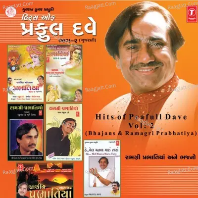 Hits Of Prafull Dave - Praful  Dave