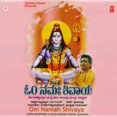 Om Namah Shivaya - Chandrika Gururaj
