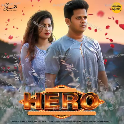 Hero Cover